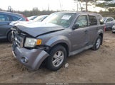 Ford Escape Xlt 1FMCU93158KC46175 снимка