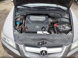 Acura Tl 3.2 19UUA66258A049910 снимка