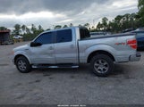 Ford F-150 Fx4/Harley-Davidson/King Ranch/Lariat/Platinum/Xl/Xlt 1FTFW1EV0AKA58084 снимка
