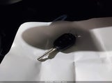 Miniaturka zdjęcia 11