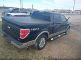 Ford F-150 Fx4/Harley-Davidson/King Ranch/Lariat/Platinum/Xl/Xlt 1FTFW1EV2AFB38138 fotografie