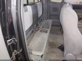 Miniaturka zdjęcia 8