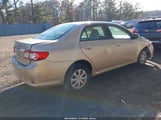 Toyota Corolla Le JTDBU4EE9B9143505 снимка