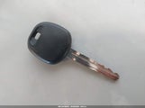 Miniaturka zdjęcia 11