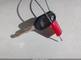 Miniaturka zdjęcia 11