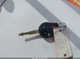 Miniaturka zdjęcia 11