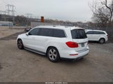 Miniaturka zdjęcia 3