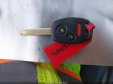 Miniaturka zdjęcia 11