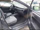Miniaturka zdjęcia 5