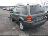 Ford Escape Xlt/Xlt Sport 1FMYU03116KA87086 fotografie