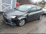 Ford Focus Sel 1FAHP3M23CL344409 fotografie
