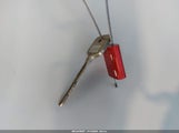 Miniaturka zdjęcia 11