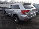 Miniaturka zdjęcia 3