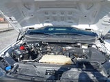 Ford F-150 Xl 1FTFW1E55PKF36699 снимка
