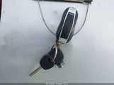Miniaturka zdjęcia 11