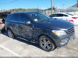 Mercedes-Benz Ml 350 4JGDA5JB2DA266806 снимка