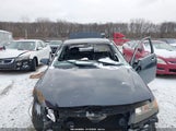 Acura Tsx JH4CL96866C034343 снимка