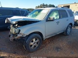 Ford Escape Xlt 1FMCU93GX9KB54761 снимка