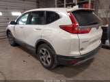 Miniaturka zdjęcia 3