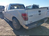 Ford F-150 Xlt 1FTEX1CMXDFE01113 снимка