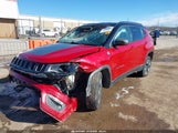 Jeep Compass Trailhawk 4X4 3C4NJDDB2JT231234 снимка