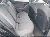 Miniaturka zdjęcia 8