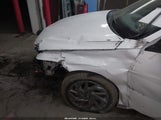Miniaturka zdjęcia 6