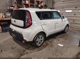 Miniaturka zdjęcia 4