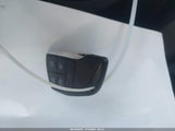 Miniaturka zdjęcia 11