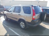 Honda Cr-V Lx JHLRD68536C006433 снимка