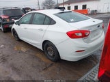 Miniaturka zdjęcia 3
