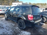 Ford Escape Xlt 1FMCU9DG9CKB47712 fotografie