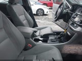 Miniaturka zdjęcia 5