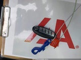 Miniaturka zdjęcia 11