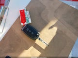 Miniaturka zdjęcia 11