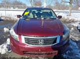Honda Accord 2.4 Lx 1HGCP2F3XAA158624 photo