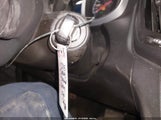 Miniaturka zdjęcia 11