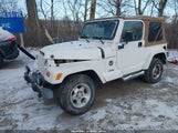 Jeep Wrangler Sahara 1J4FA59SX2P735212 снимка