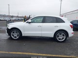 Audi Q5 2.0T Premium WA1L2AFP7GA052659 снимка