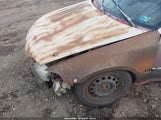 Miniaturka zdjęcia 6