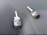 Miniaturka zdjęcia 11