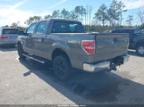 Ford F-150 Xl/Xlt 1FTEW1E83AFC46001 fotografie