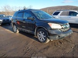 Honda Cr-V Ex 5J6RE48519L064358 снимка