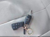 Miniaturka zdjęcia 11