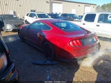 Ford Mustang Ecoboost 1FA6P8TH8F5300893 снимка