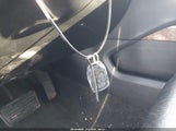 Miniaturka zdjęcia 11