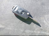 Miniaturka zdjęcia 11