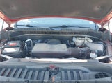 Miniaturka zdjęcia 10