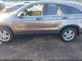 Honda Cr-V Ex 3CZRE4H53AG704698 снимка