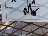 Miniaturka zdjęcia 7